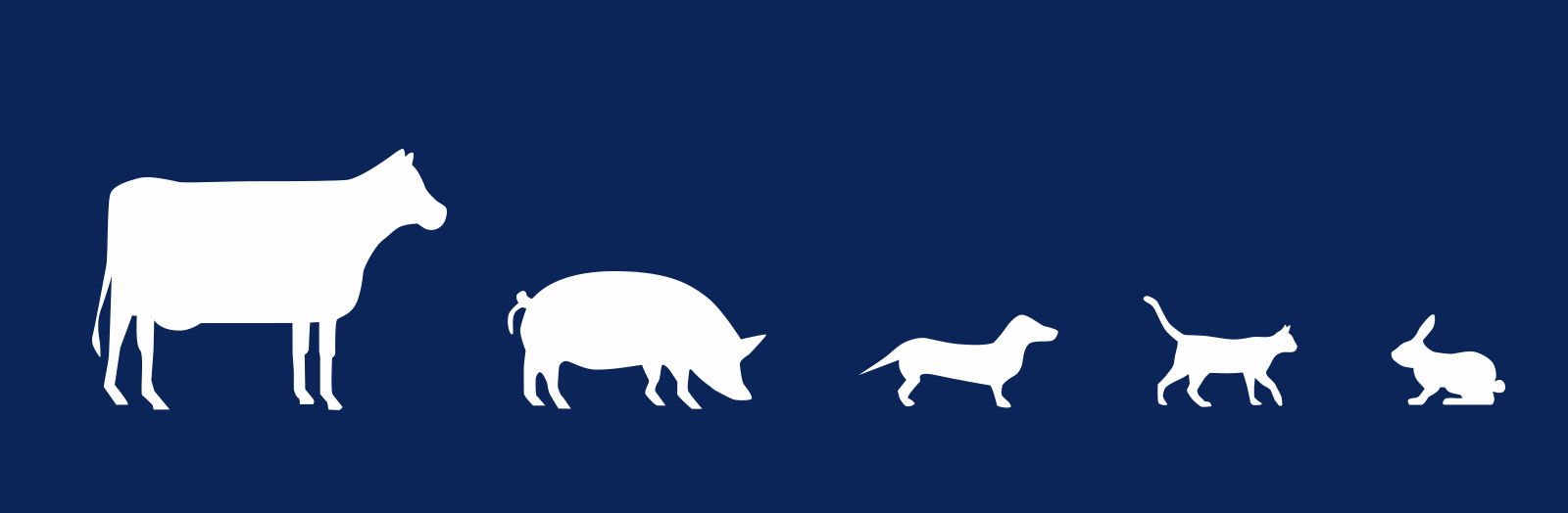 Geschäftsausstattung mit Logo gestalten lassen bei Ihrer Werbeagentur in Verden und Bremen
